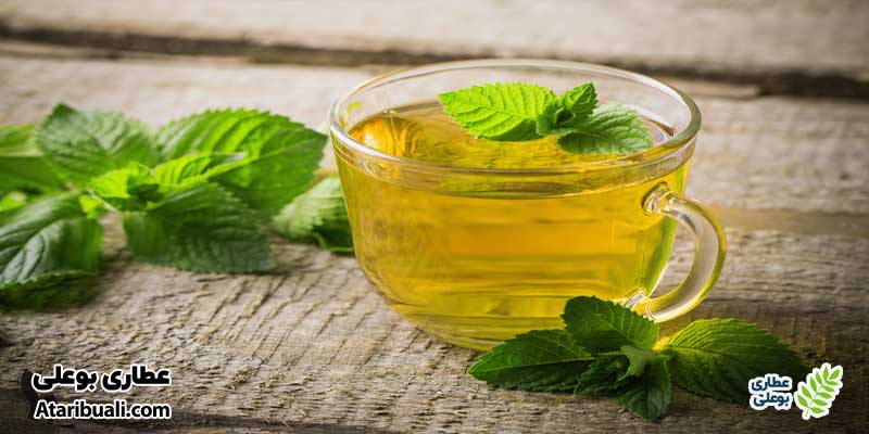 چای نعناع