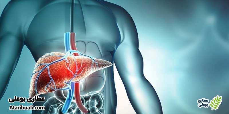 چه افرادی استعداد ابتلاء به بیماری کبدی دارند؟