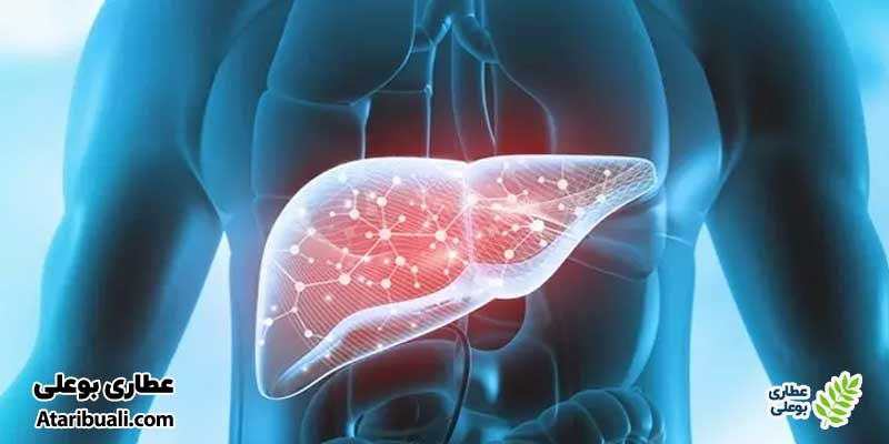 کبد چرب غیرالکلی (NAFLD)