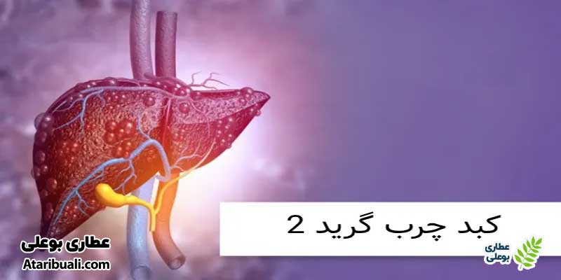 کبد چرب گرید 2 (کبد چرب متوسط)