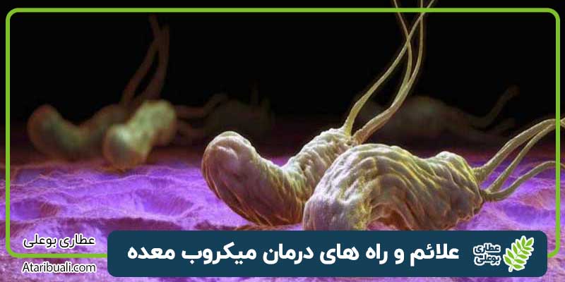 علائم و راه های درمان میکروب معده