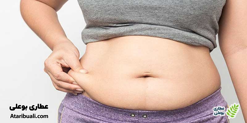 تجمع چربی در ناحیه شکم