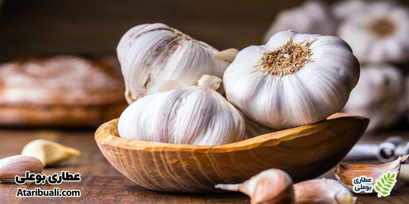 سیر مفید برای کبد چرب