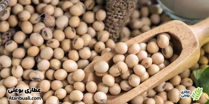 لوبیا و سویا مفید برای کبد چرب