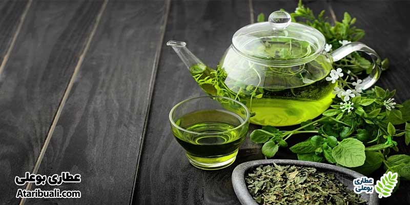 چای سبز مفید برای کبد چرب