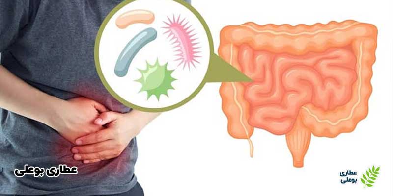 پاکسازی معده با داروهای طبیعی و گیاهی