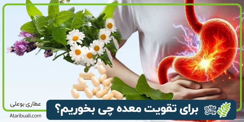 برای تقویت معده چی بخوریم؟