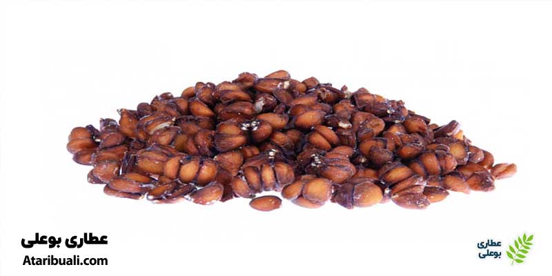 به دانه