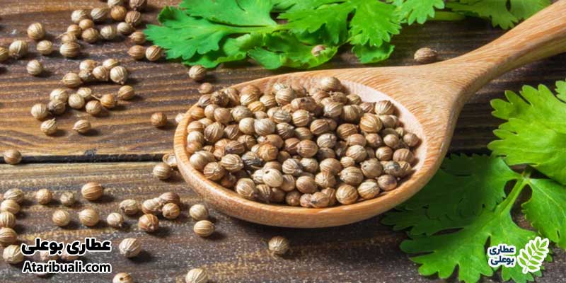 تخم گشنیز، ترکیبات اسلیم مکس