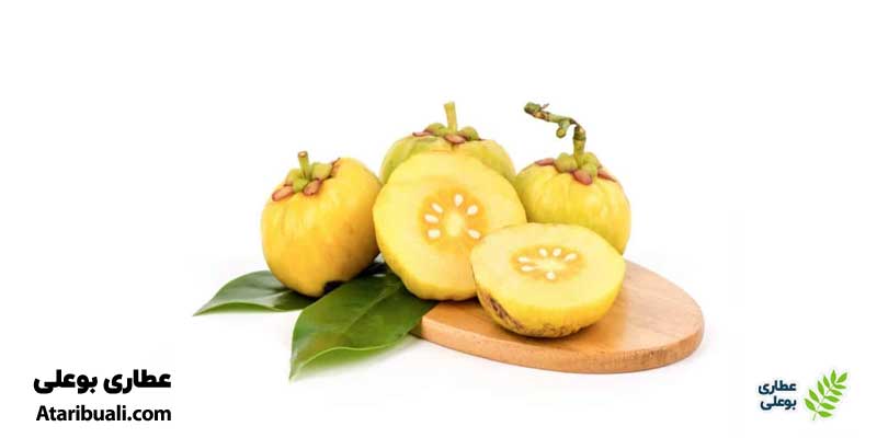 ترکیبات قرص برنینگ فت و تأثیر آن در لاغری