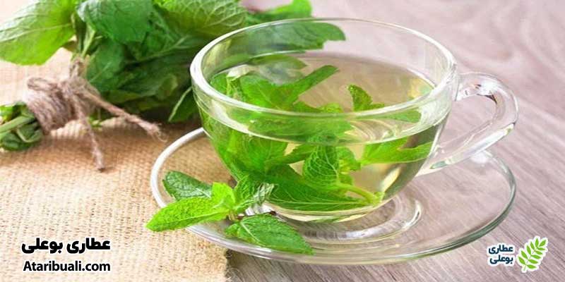 دمنوش نعناع