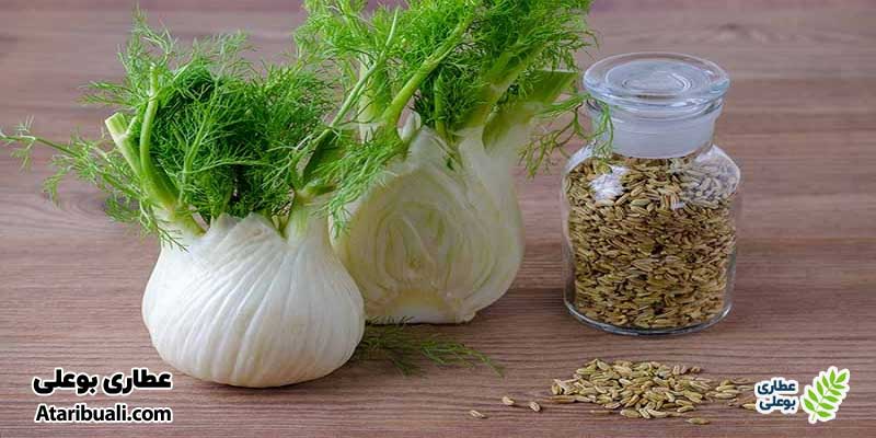 رازیانه، ترکیبات اسلیم مکس