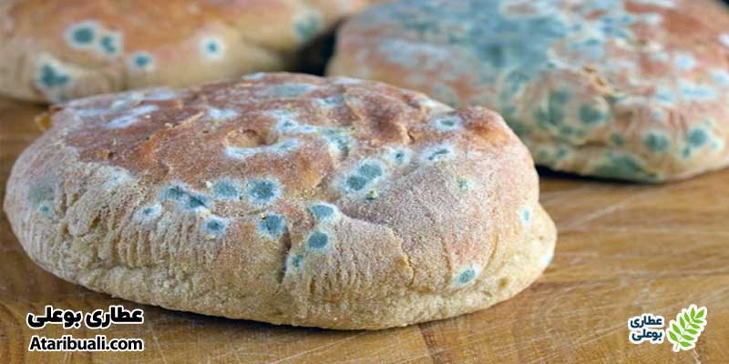 رعایت بهداشت مواد غذایی