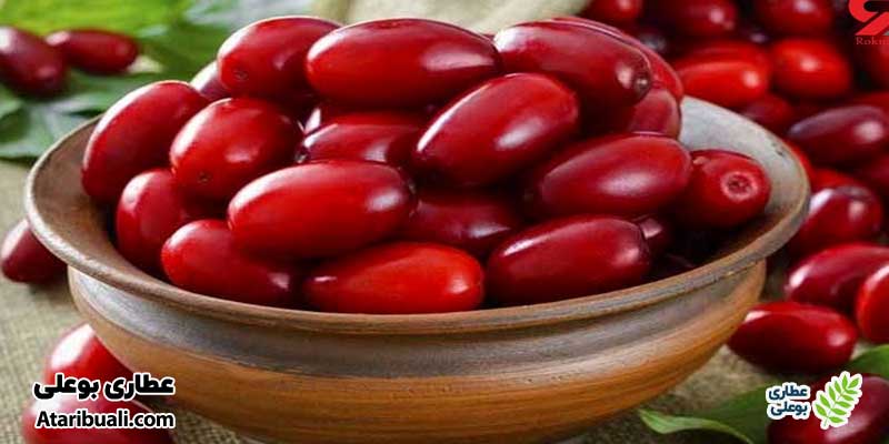زغال‌اخته مفید برای کبد چرب