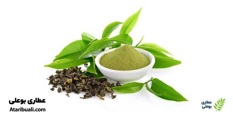 عصاره چای سبز، قرص لاغری قوی تضمینی در داروخانه
