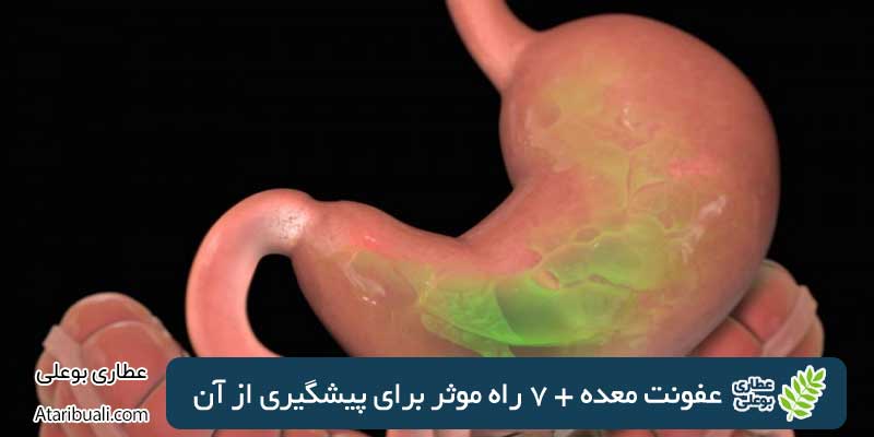 عفونت معده + 7 راه موثر برای پیشگیری از آن