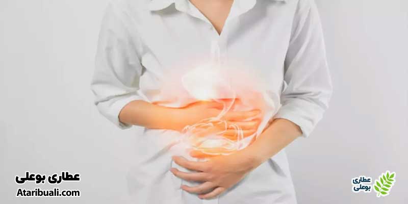 عفونت‌های دستگاه گوارش