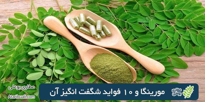 مورینگا و 10 فواید شگفت انگیز آن