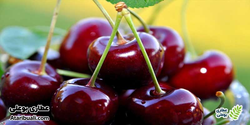 گیلاس مفید برای کبد چرب