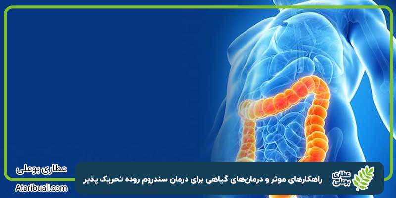 راهکارهای موثر و درمان‌های گیاهی برای درمان سندروم روده تحریک پذیر