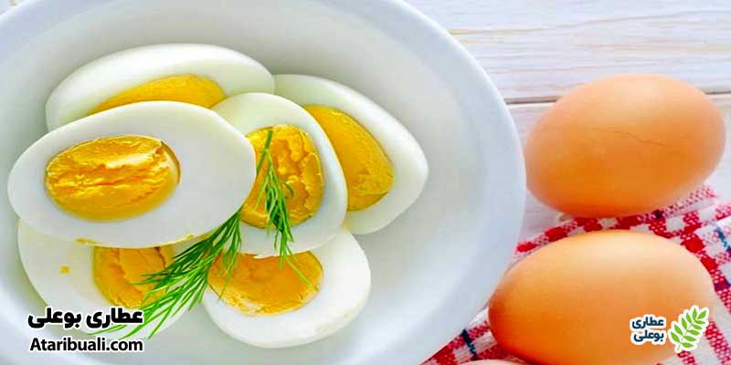 تخم مرغ، بی رحم‌ترین چربی سوز شکم و پهلو