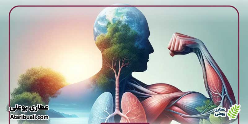 خواص قرص لیورکر، حفظ سلامت کلی بدن