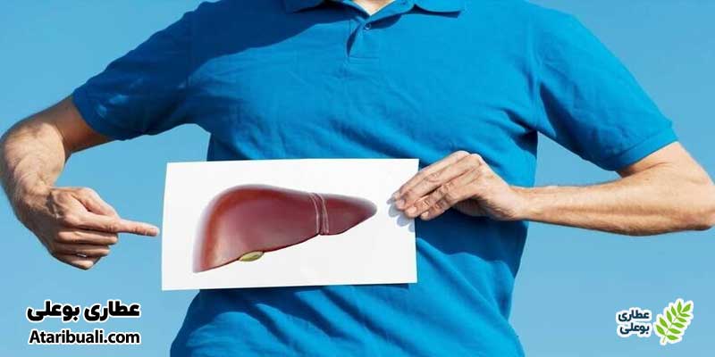 خواص قرص لیورکر، حمایت از سلامت کبد