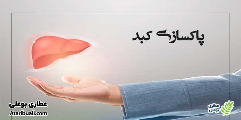 خواص قرص سینارکول دینه، سم زدایی کبد