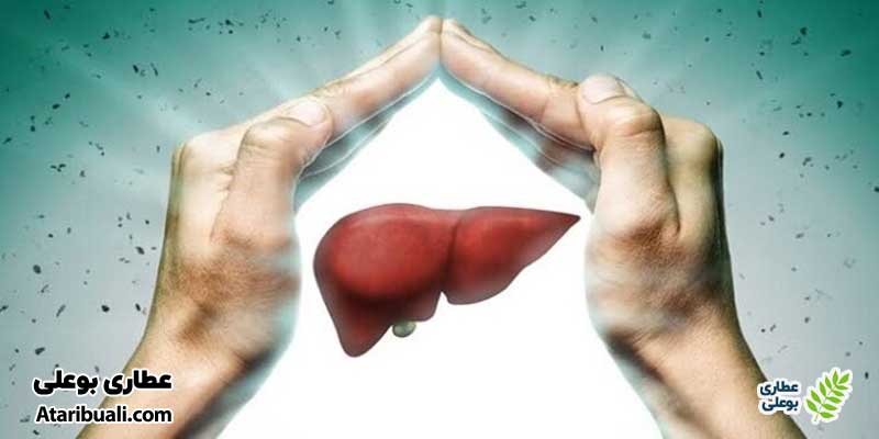 خواص قرص سینارکول دینه، محافظت و بازسازی کبد