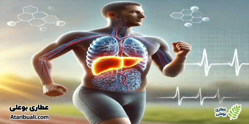 خواص قرص میلک تیستل: بهبود عملکرد کبد