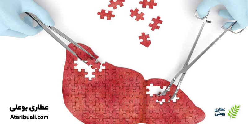 خواص قرص میلک تیستل: کاهش میزان آنزیم‌های ALT و AST در اختلالات کبدی