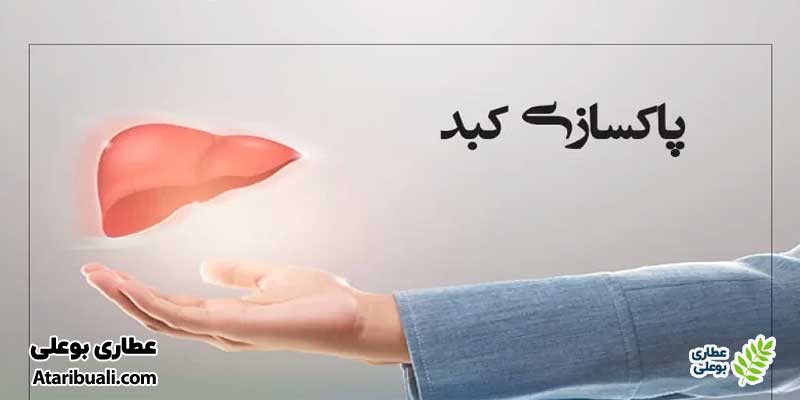 خواص قرص هلسی لیور گلدن لایف، موجب پاکسازی کبد از سموم و محافظت آن در برابر آسیب‌های اکسیداتیو