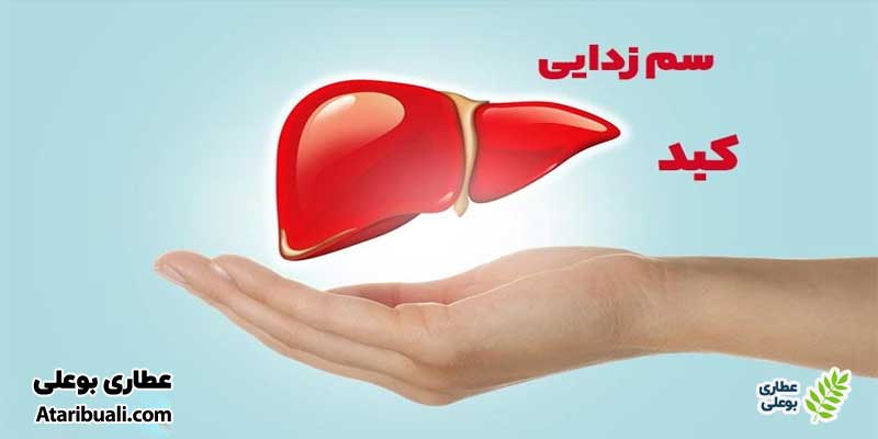 خواص کپسول لیور دتوکس، سم زدایی کبد