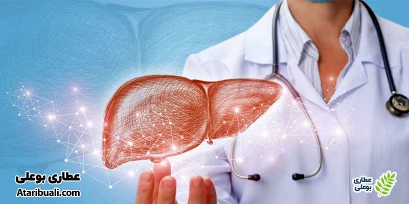 خواص کپسول لیور ویت یوروویتال، حفظ ساختار و سلامتی کبد و صفرا