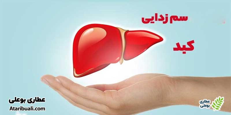 خواص کپسول نوتری لیور ساپورت، سم زدایی کبد