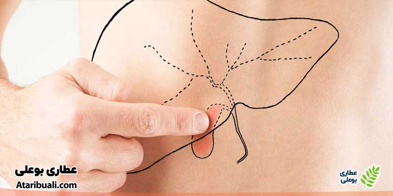 خواص کپسول نوتری لیور ساپورت، کمک به درمان اختلالات کیسه صفرا