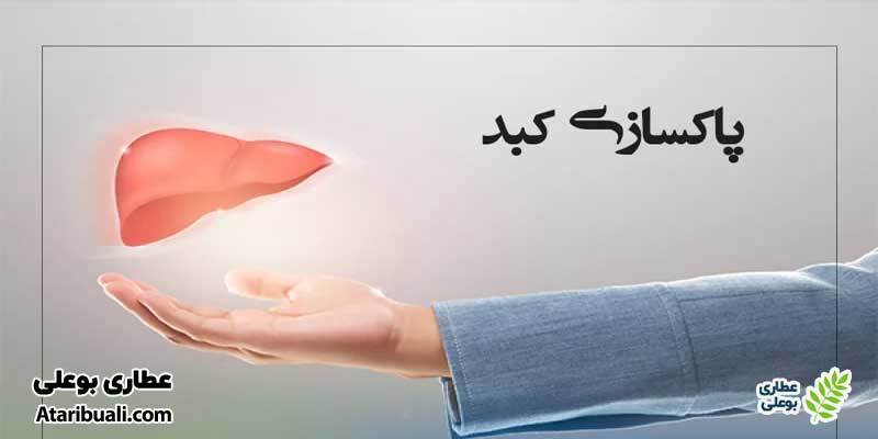 خواص کپسول ویت ایس، اثرات مثبت در سم زدایی از کبد