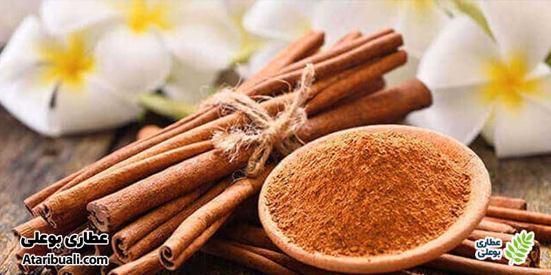 دارچین، بی رحم‌ترین چربی سوز شکم و پهلو