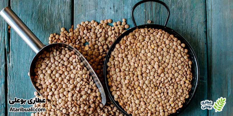 عدس، بی رحم‌ترین چربی سوز شکم و پهلو