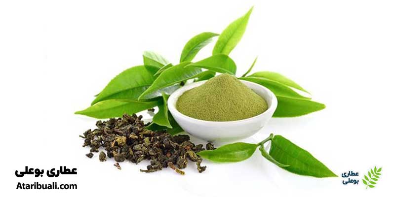  عصاره چای سبز