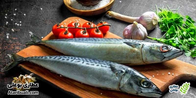 ماهی، بی رحم‌ترین چربی سوز شکم و پهلو
