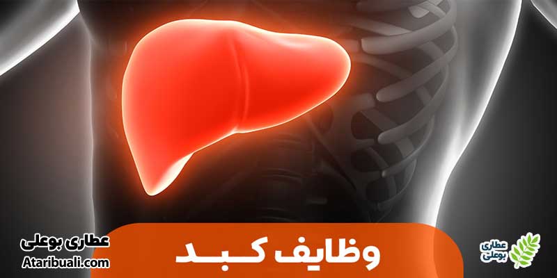 وظایف کبد