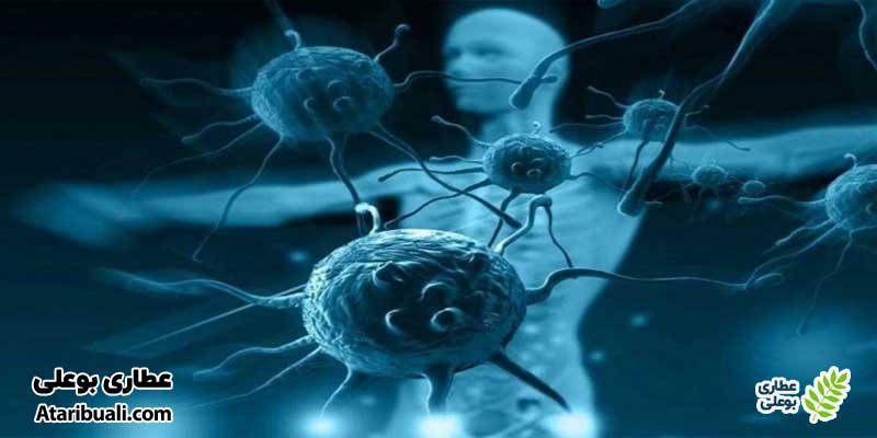 خواص قرص لیورکر، پاکسازی و سم‌زدایی
