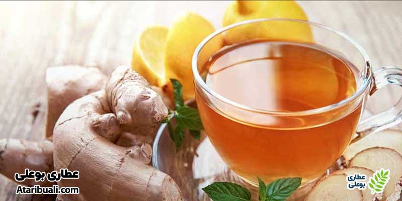 چای زنجبیل، بی رحم‌ترین چربی سوز شکم و پهلو