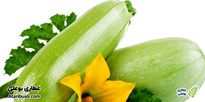 کدو سبز، بی رحم‌ترین چربی سوز شکم و پهلو