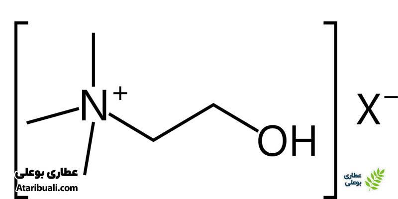 کولین