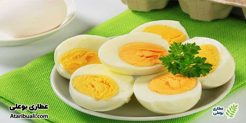 تخم مرغ، صبحانه مناسب برای کبد چرب