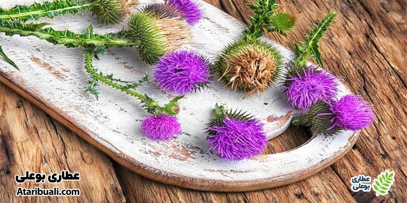 ترکیبات کپسول نوتری دکتر اهورا