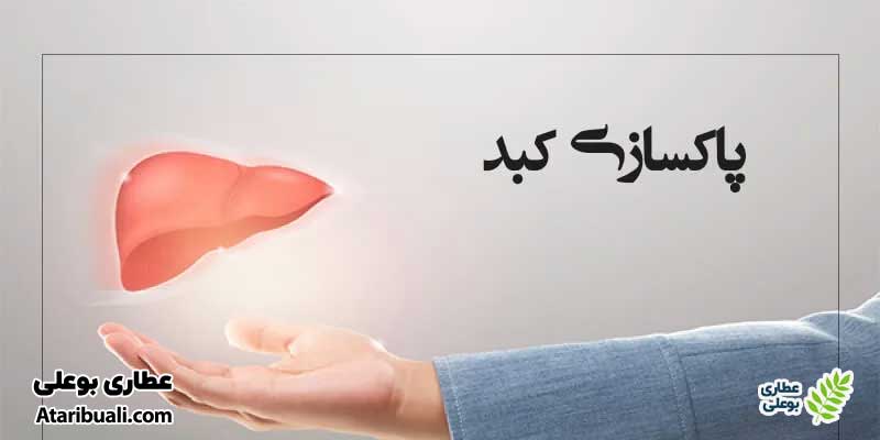 خواص کپسول لیور وید، پاکسازی کبد