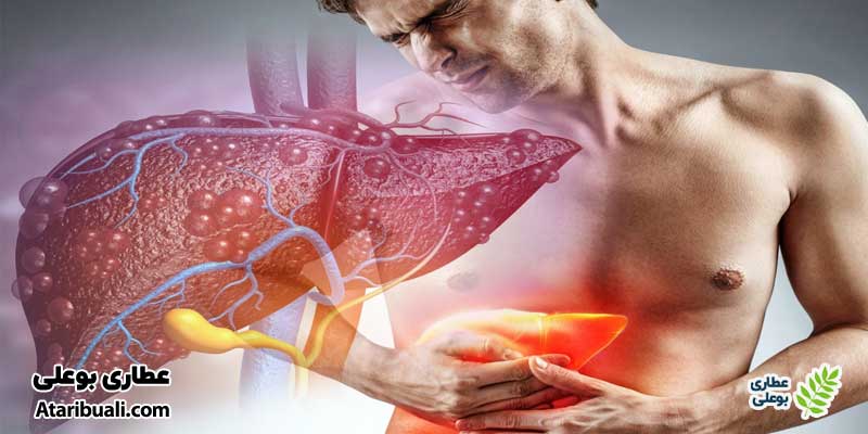 خواص کپسول لیورید اچ تی اس، رفع التهابات مزمن کبد